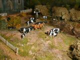 Les vaches